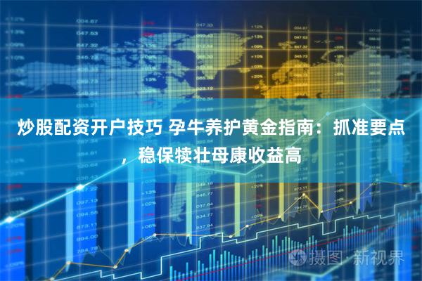 炒股配资开户技巧 孕牛养护黄金指南：抓准要点，稳保犊壮母康收益高
