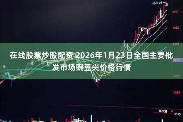 在线股票炒股配资 2026年1月23日全国主要批发市场豌豆尖价格行情